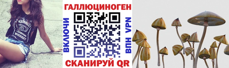Псилоцибиновые грибы мухоморы  Курган 